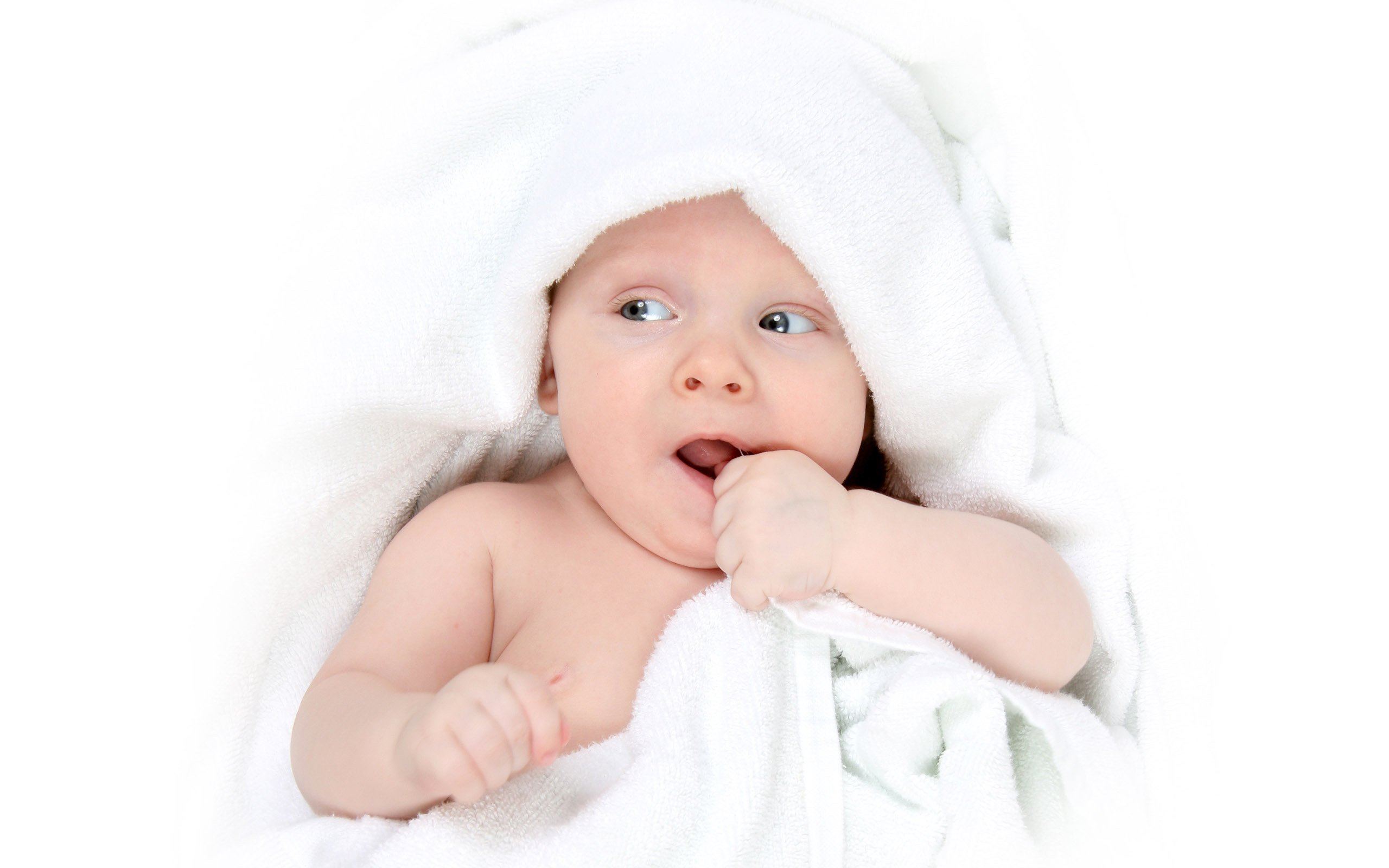 捐卵机构中心试管婴儿成功的关系
